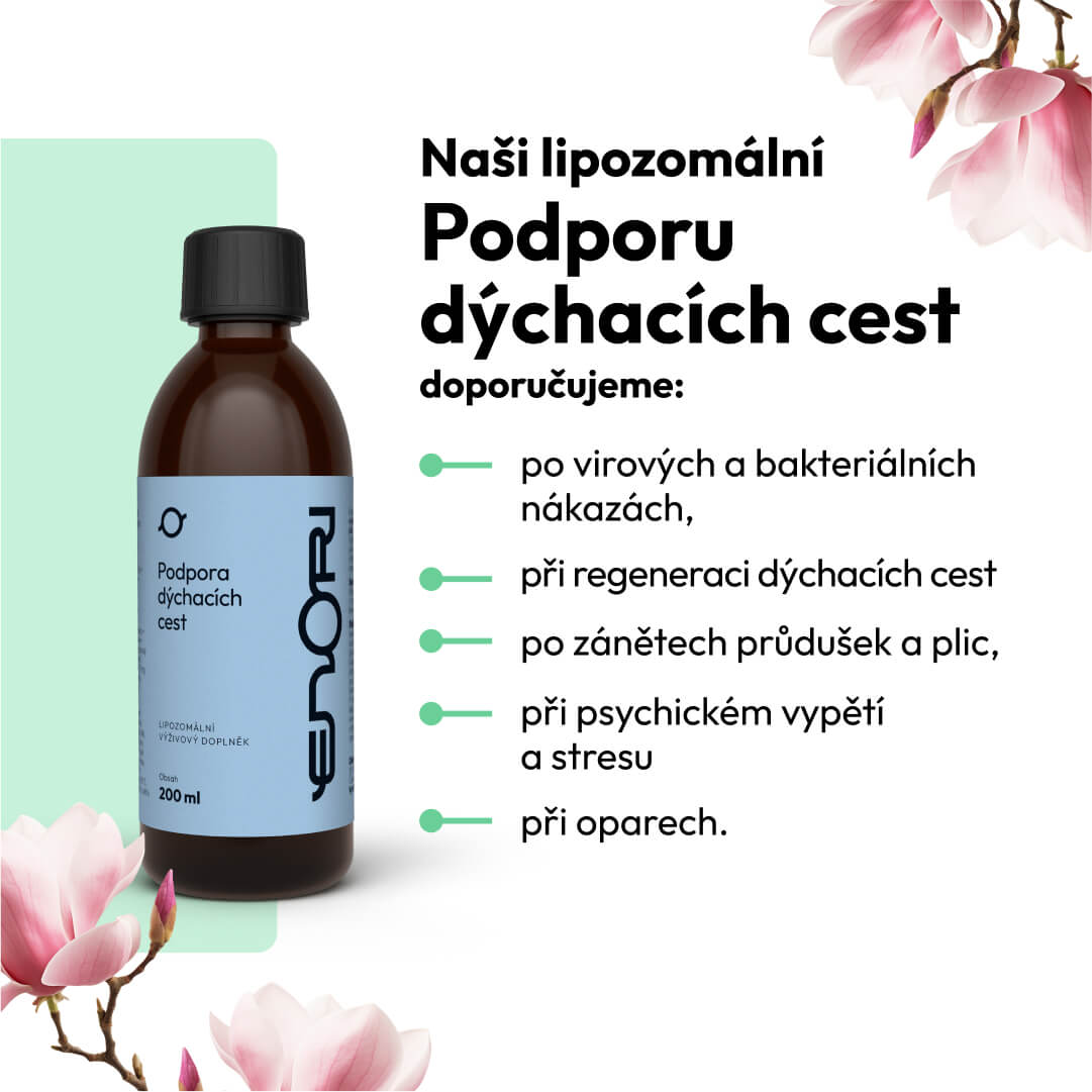 Podpora dýchacích cest